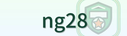 ng28 Logo
